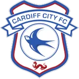 Cardiff City - Maillot Score